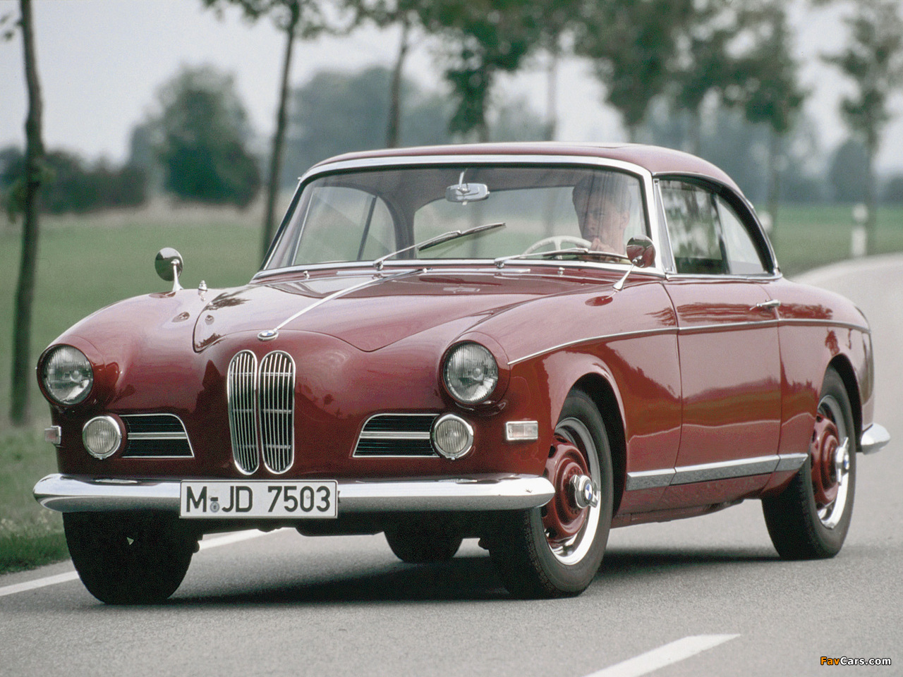 BMW 503 Coupe 1956–59 images (1280 x 960)