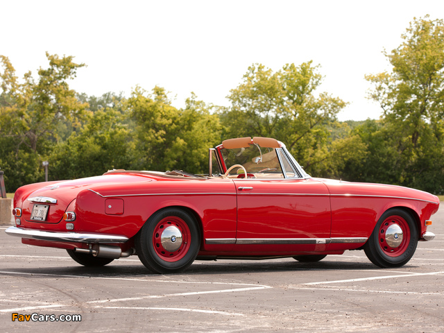 BMW 503 Cabriolet 1956–59 pictures (640 x 480)