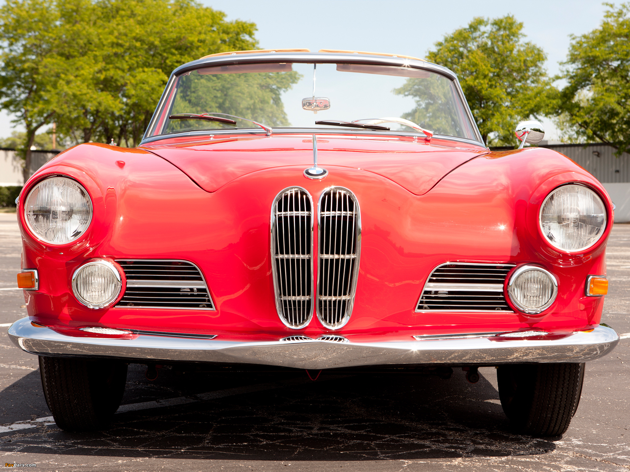 Photos of BMW 503 Cabriolet 1956–59 (2048 x 1536)