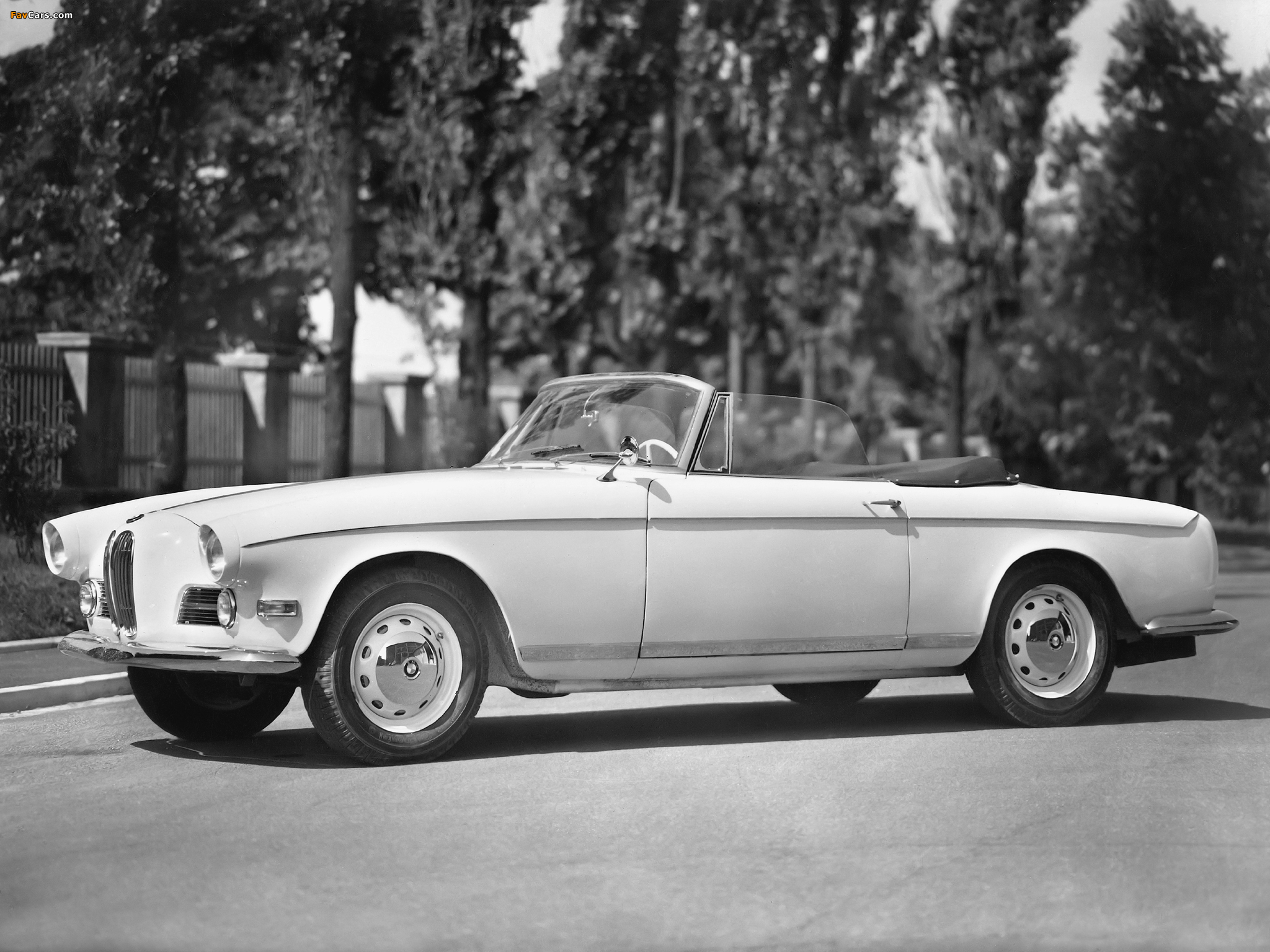 Photos of BMW 503 Cabriolet 1956–59 (2048 x 1536)