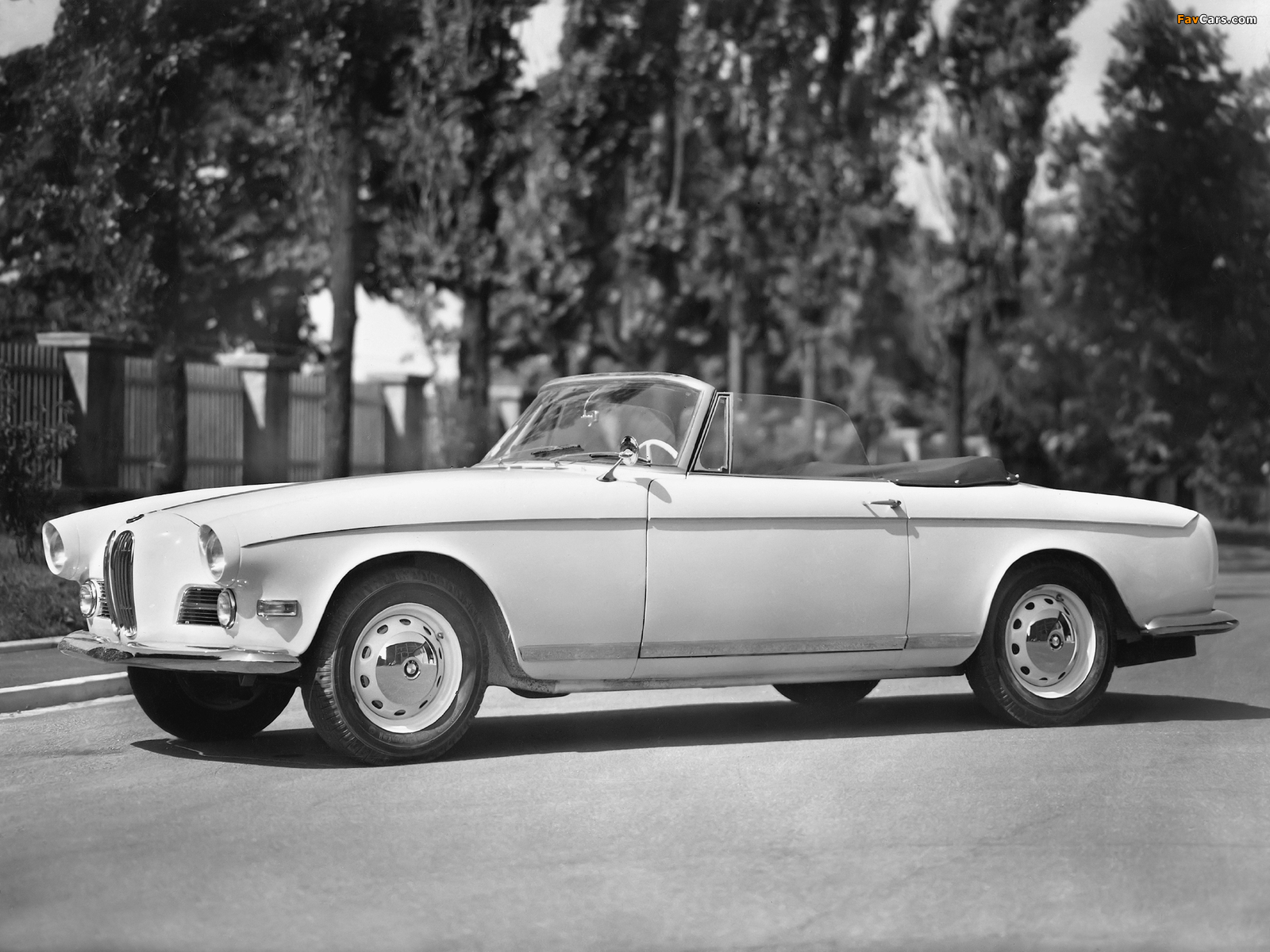 Photos of BMW 503 Cabriolet 1956–59 (1600 x 1200)