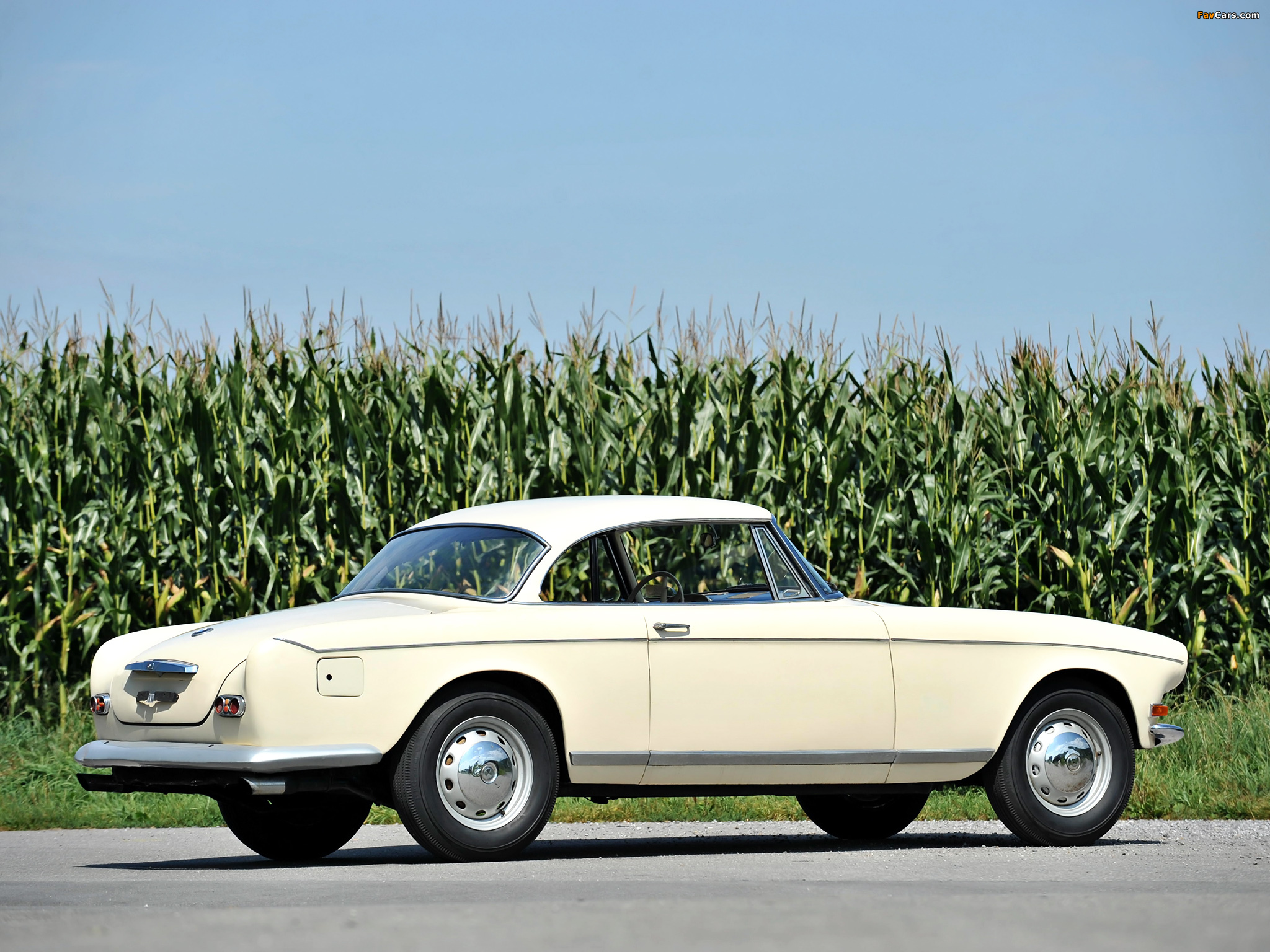 Pictures of BMW 503 Coupe by Ghia-Aigle 1956 (2048 x 1536)