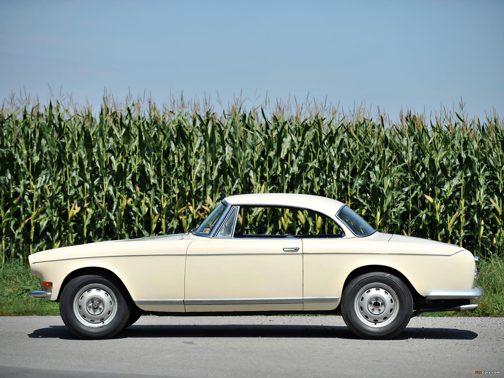 Pictures of BMW 503 Coupe by Ghia-Aigle 1956 (2048 x 1536)