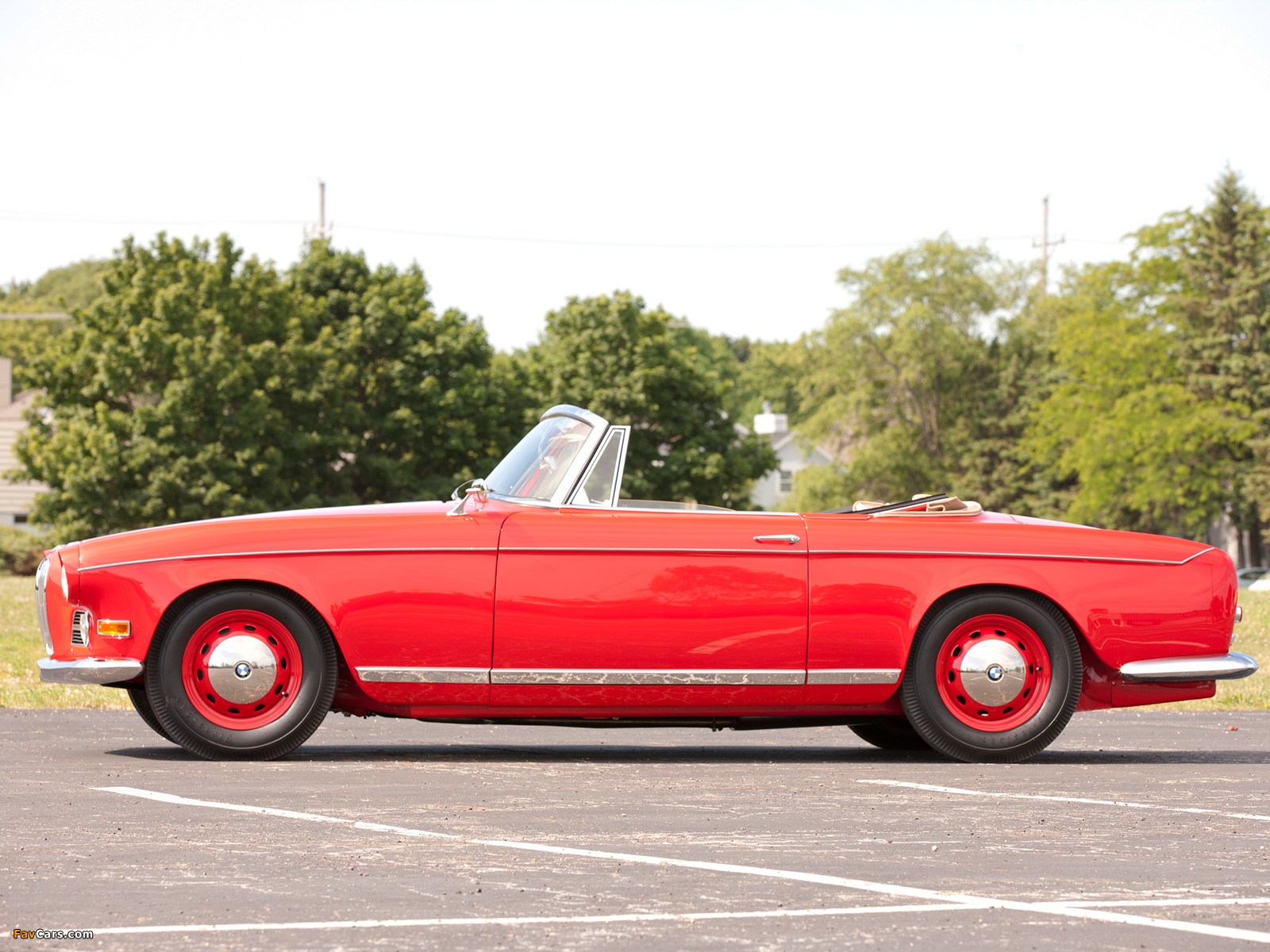 Pictures of BMW 503 Cabriolet 1956–59 (1600 x 1200)