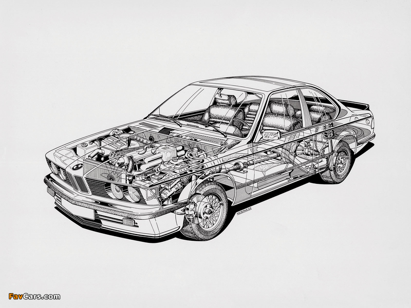 BMW 630CS (E24) 1976–79 photos (800 x 600)