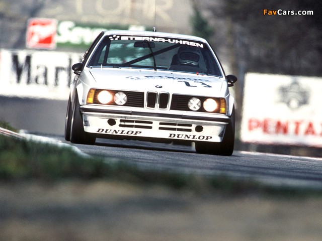 BMW 635 CSi DTM (E24) 1984–88 photos (640 x 480)