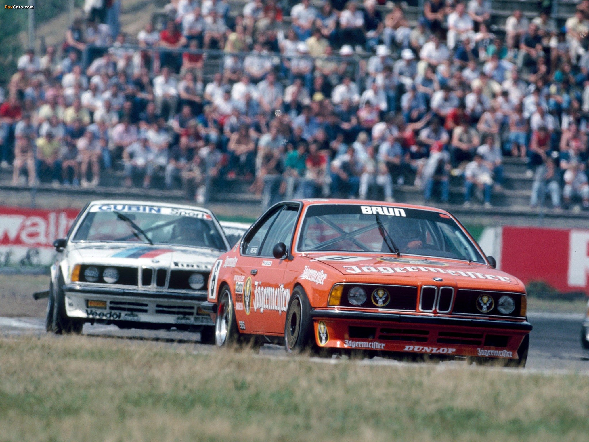 BMW 635 CSi DTM (E24) 1984–88 pictures (2048 x 1536)