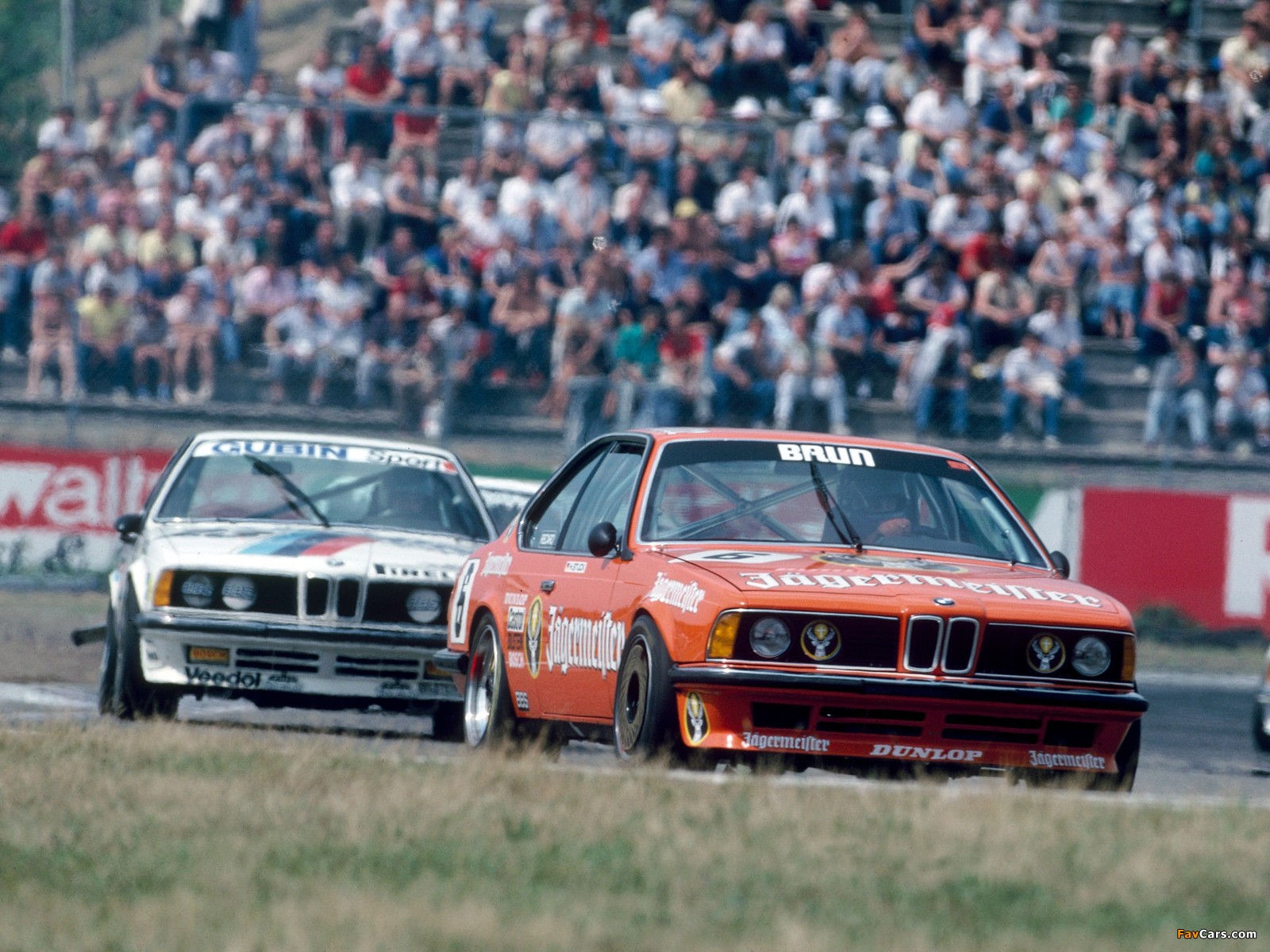 BMW 635 CSi DTM (E24) 1984–88 pictures (1600 x 1200)