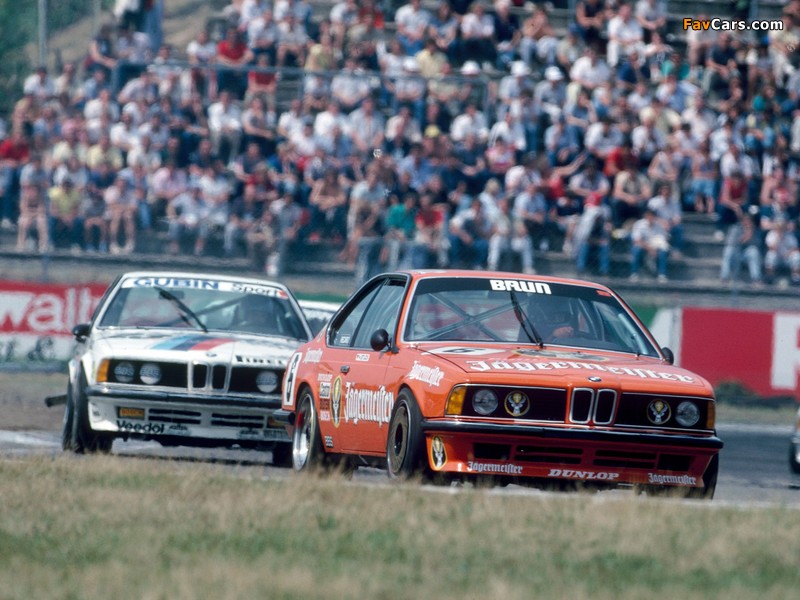 BMW 635 CSi DTM (E24) 1984–88 pictures (800 x 600)