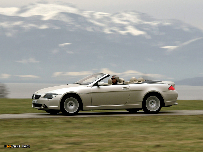 BMW 6 Series Cabrio (E64) 2004–07 images (800 x 600)