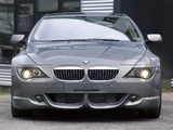 AC Schnitzer ACS6 Coupe (E63) 2004–07 photos