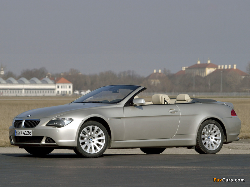 BMW 6 Series Cabrio (E64) 2004–07 pictures (800 x 600)