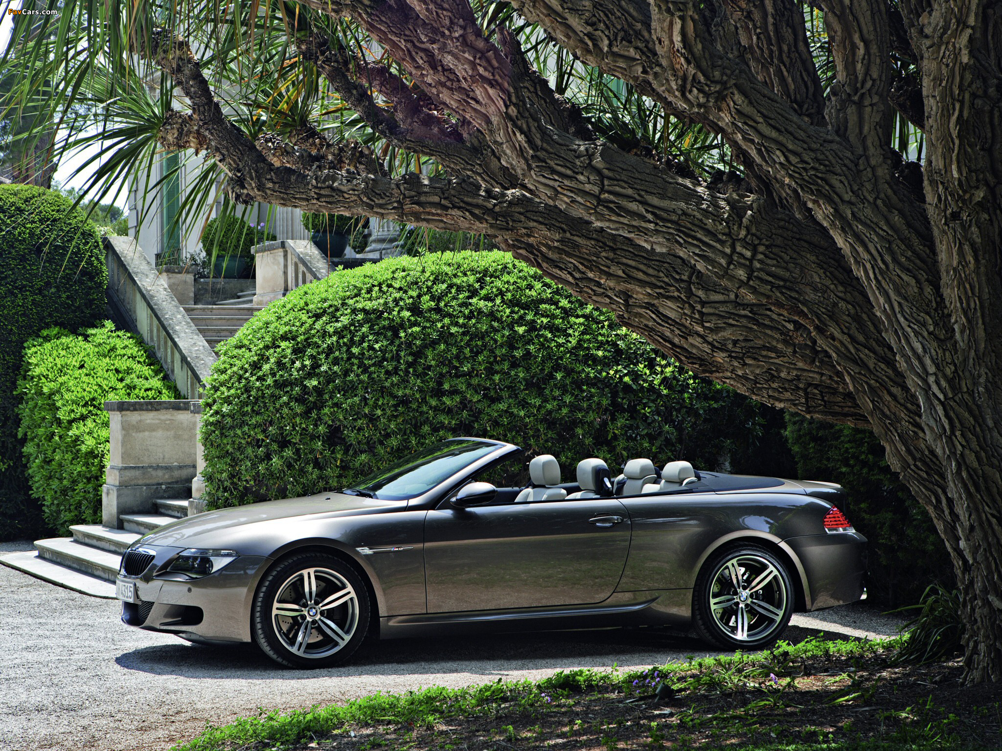 BMW M6 Cabrio (E64) 2007–10 pictures (2048 x 1536)