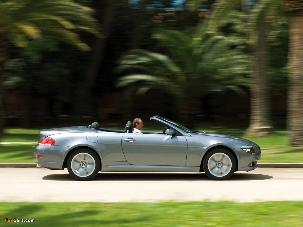 BMW 650i Cabrio (E64) 2008–11 pictures (1024 x 768)