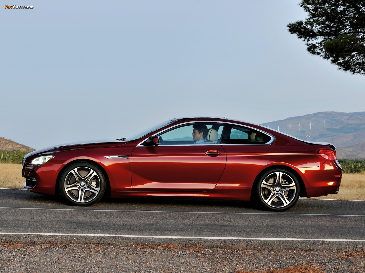 BMW 650i Coupe (F12) 2011 images (1280 x 960)