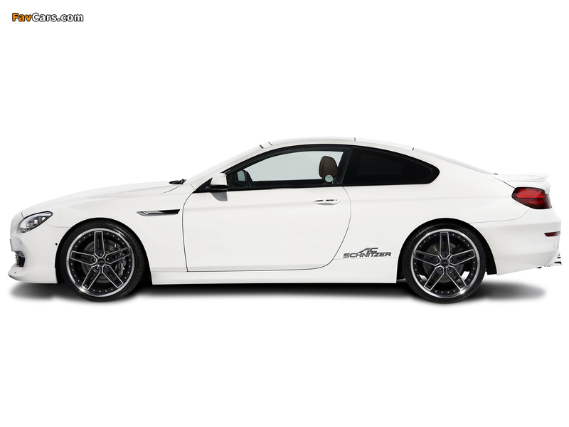 AC Schnitzer ACS6 5.0i Coupe (F13) 2011 images (800 x 600)