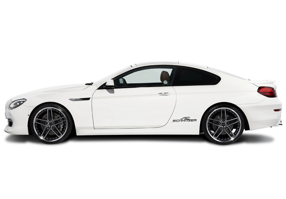 AC Schnitzer ACS6 5.0i Coupe (F13) 2011 images