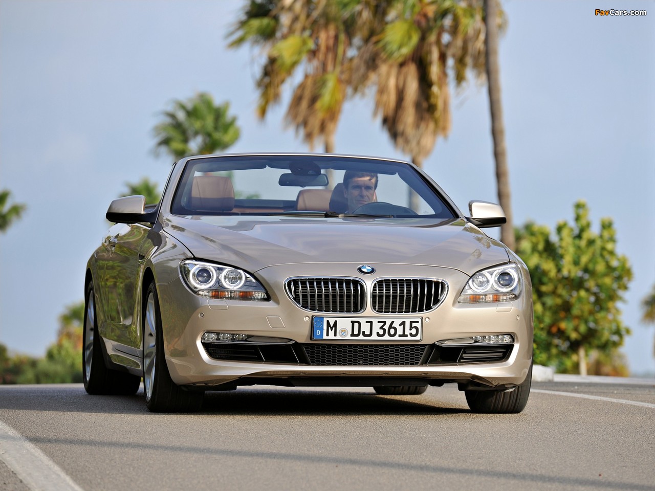 BMW 650i Cabrio (F12) 2011 photos (1280 x 960)