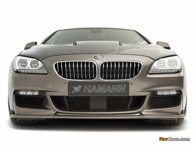 Hamann BMW 6 Series Gran Coupe M Sport Package (F06) 2013 images (640 x 480)