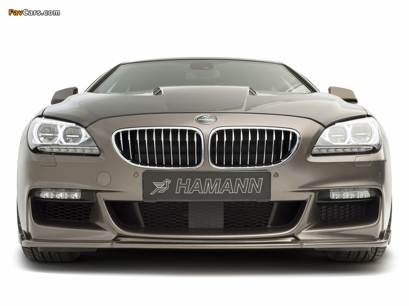 Hamann BMW 6 Series Gran Coupe M Sport Package (F06) 2013 images (800 x 600)