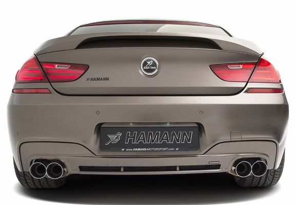 Hamann BMW 6 Series Gran Coupe M Sport Package (F06) 2013 images