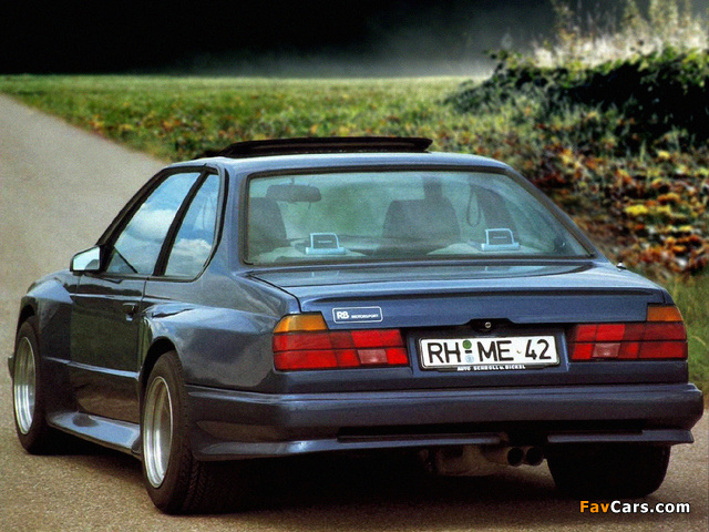 RB-Motorsport BMW 6 Series (E24) photos (640 x 480)