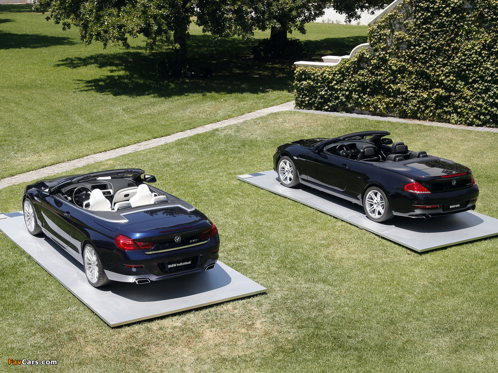 Images of BMW 6 Series (1024 x 768)