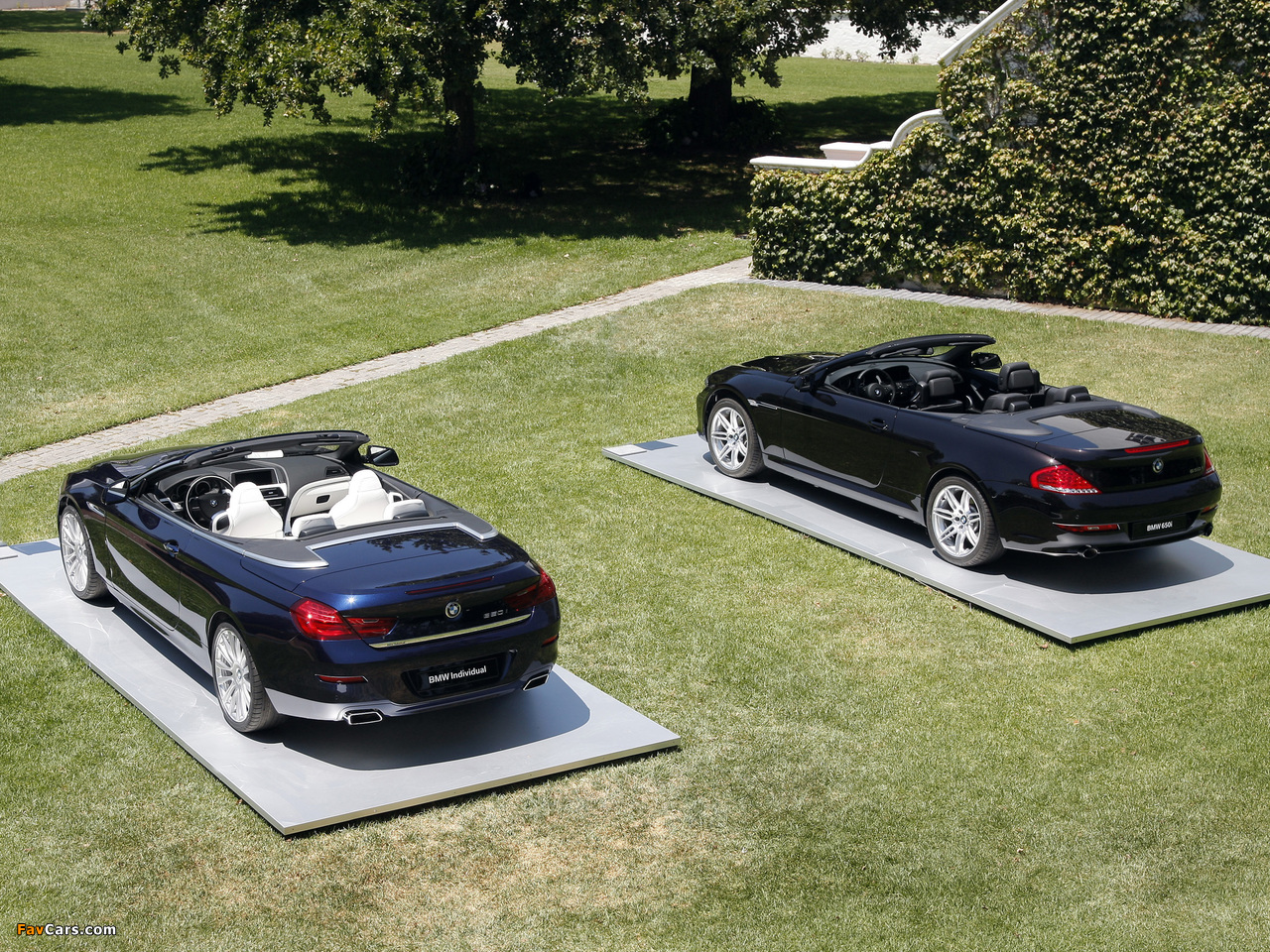 Images of BMW 6 Series (1280 x 960)