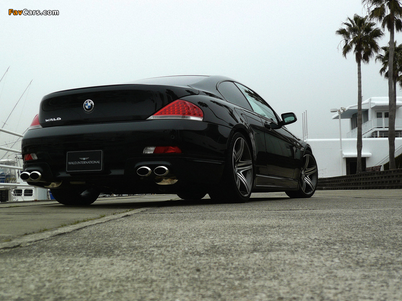 Images of WALD BMW 6 Series (E63) 2004 (800 x 600)