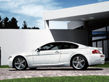 Images of BMW M6 Competition Edition (E63) 2009–10