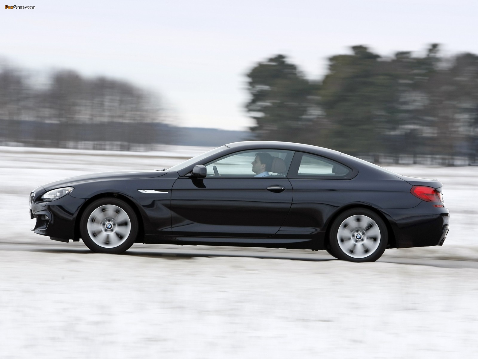 Images of BMW 640d xDrive Coupe M Sport Package (F13) 2012 (1600 x 1200)