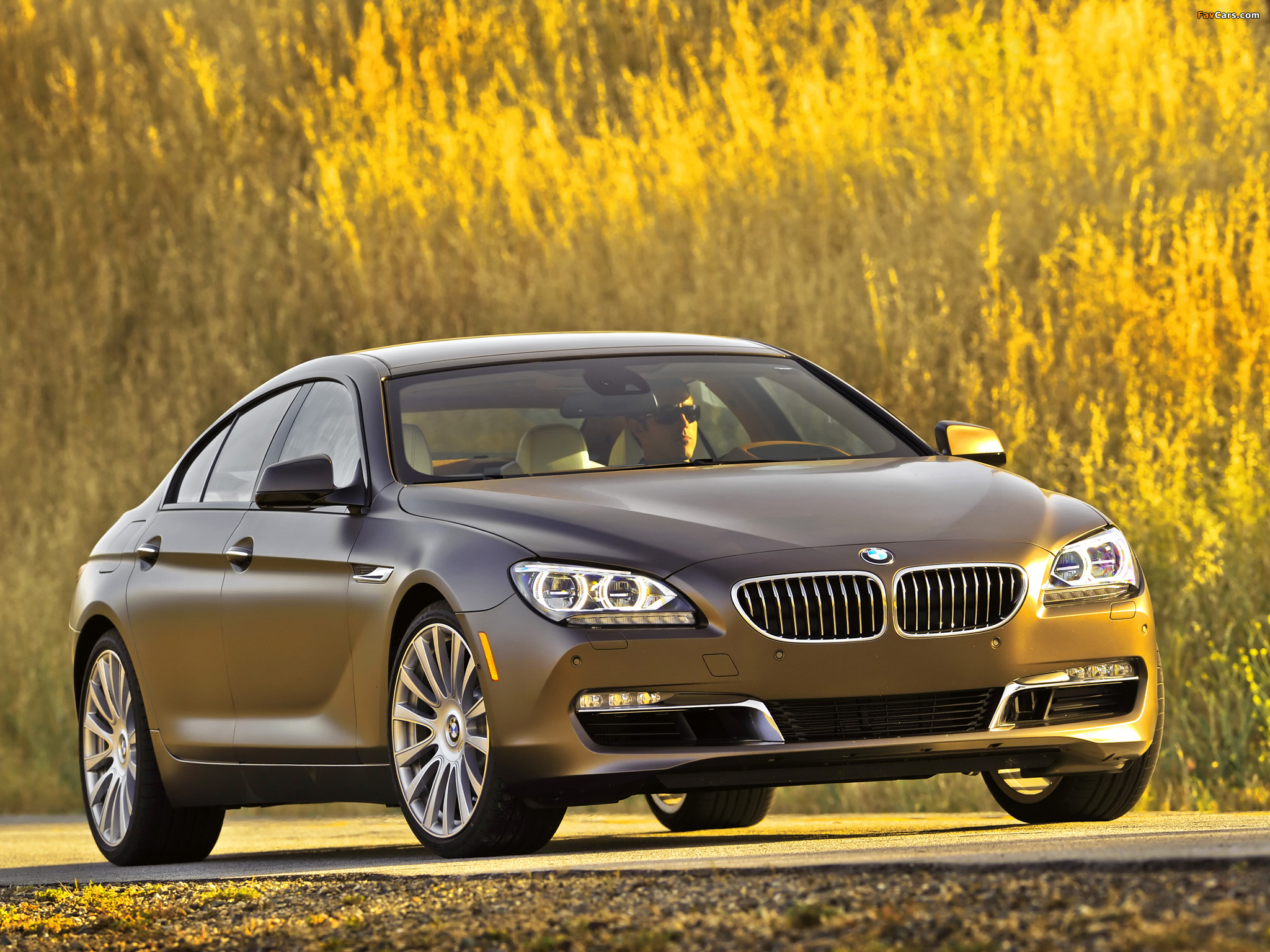 Images of BMW 640i Gran Coupe US-spec (F06) 2012 (2048 x 1536)