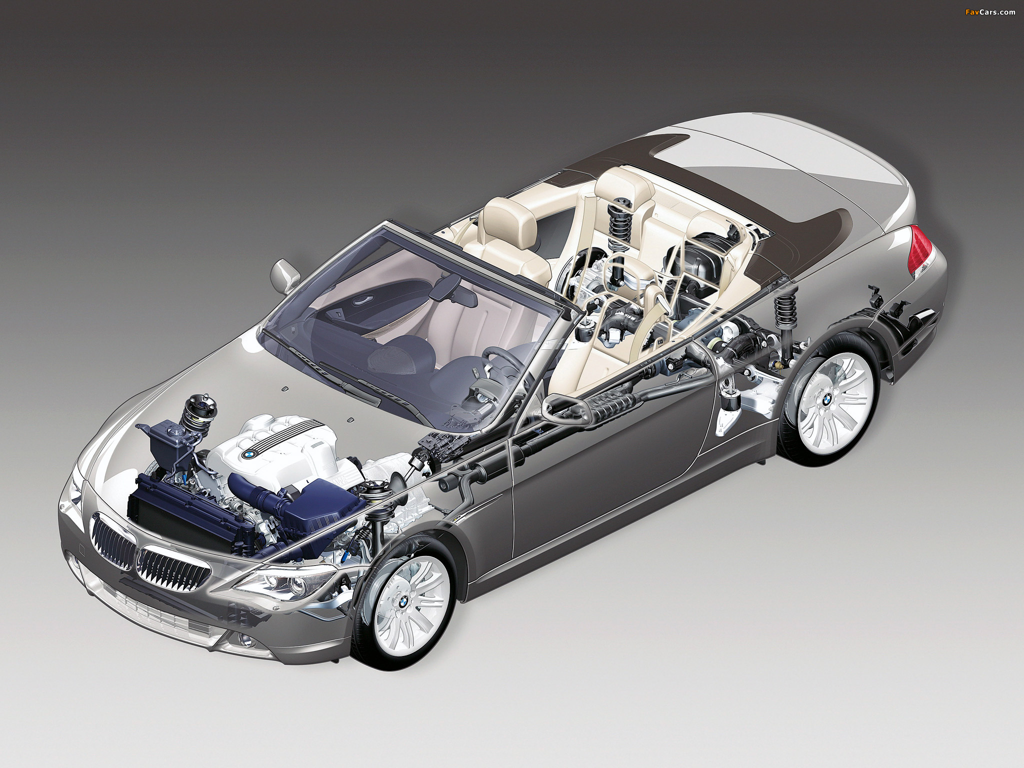 Photos of BMW 6 Series Cabrio (E64) 2004–07 (2048 x 1536)