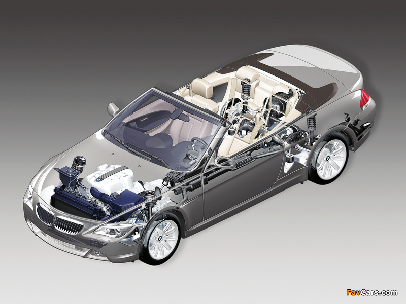 Photos of BMW 6 Series Cabrio (E64) 2004–07 (800 x 600)