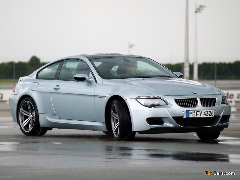 Photos of BMW M6 (E63) 2005–10 (800 x 600)