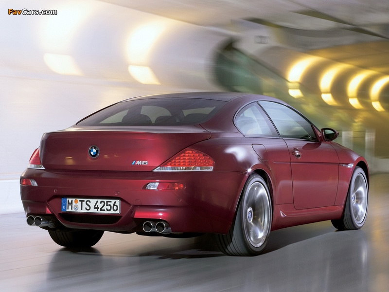 Photos of BMW M6 (E63) 2005–10 (800 x 600)