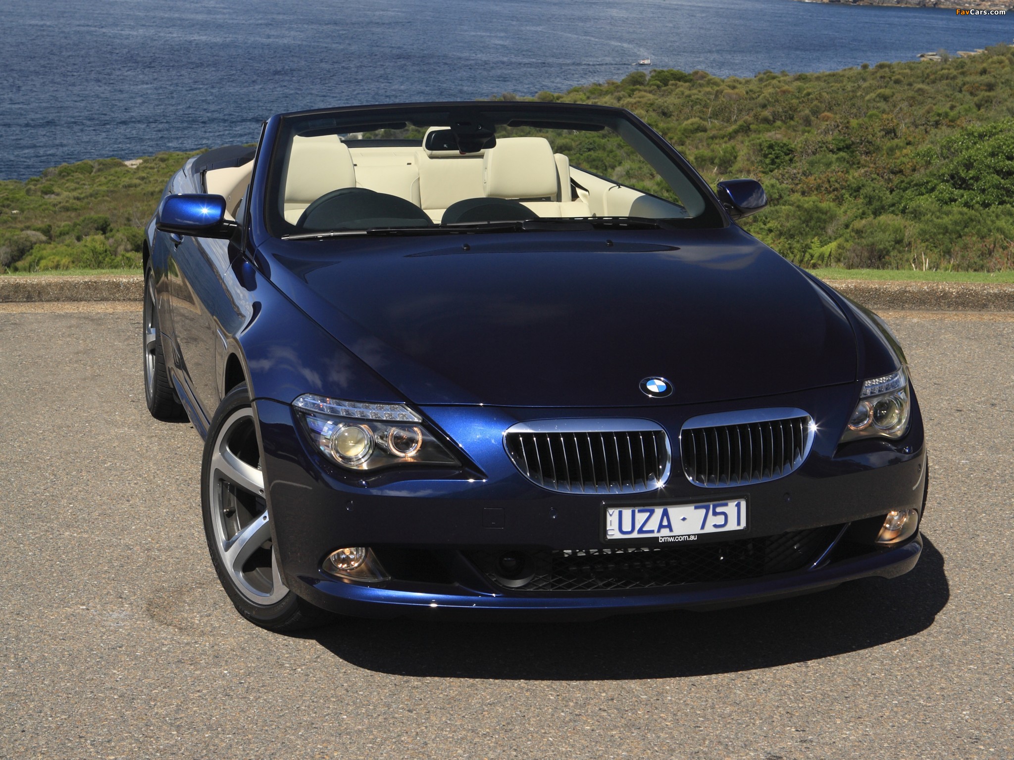 Photos of BMW 650i Cabrio AU-spec (E64) 2008–11 (2048 x 1536)