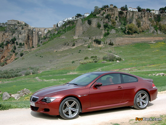 Pictures of BMW M6 (E63) 2005–10 (640 x 480)
