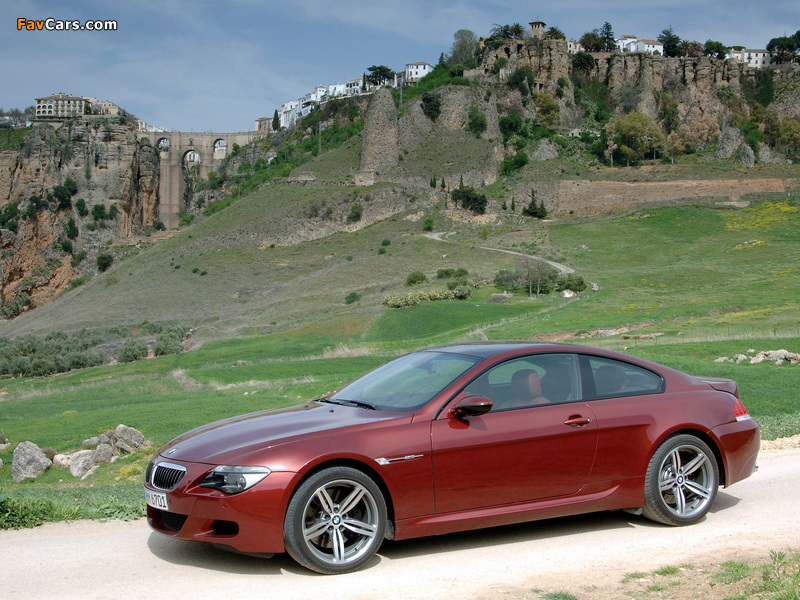Pictures of BMW M6 (E63) 2005–10 (800 x 600)