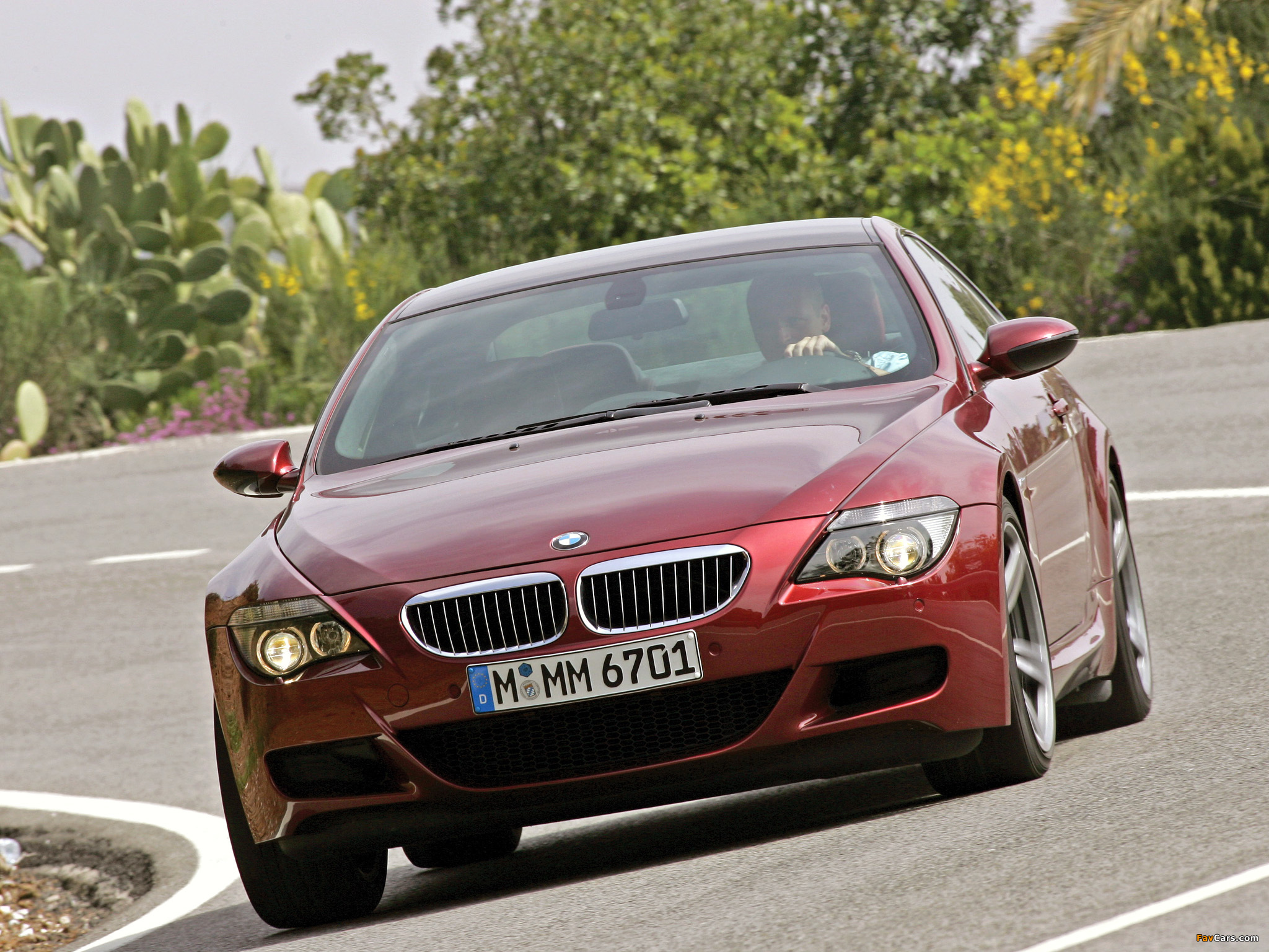 Pictures of BMW M6 (E63) 2005–10 (2048 x 1536)