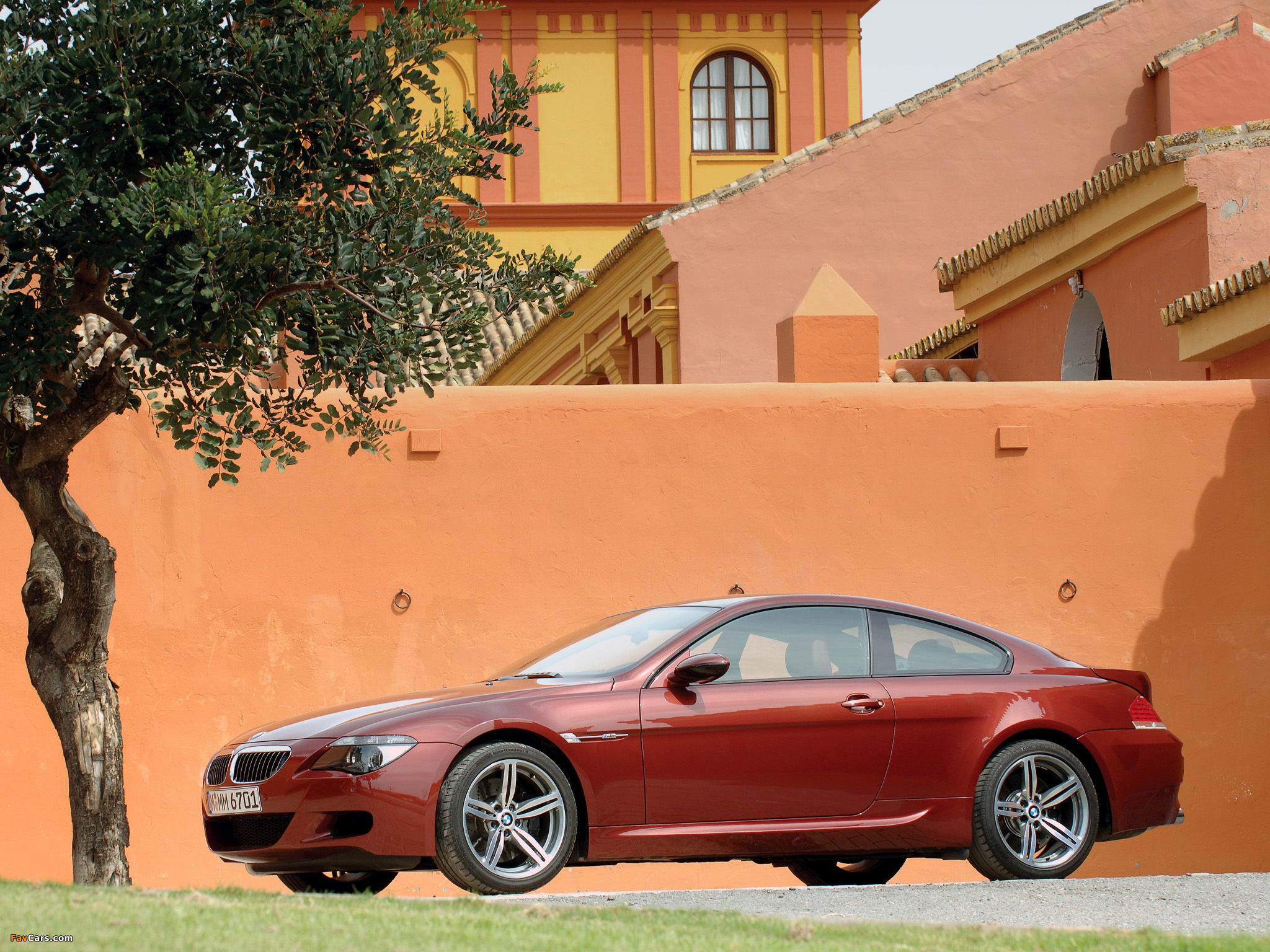 Pictures of BMW M6 (E63) 2005–10 (2048 x 1536)