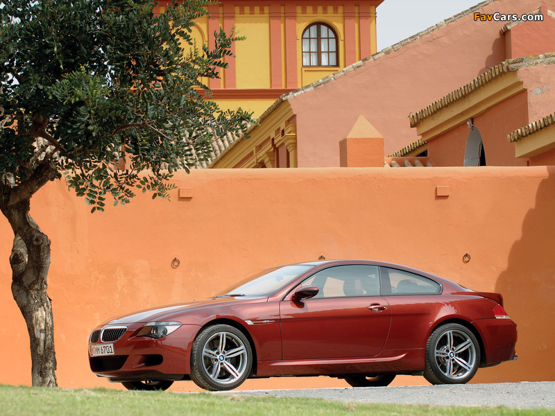 Pictures of BMW M6 (E63) 2005–10 (800 x 600)