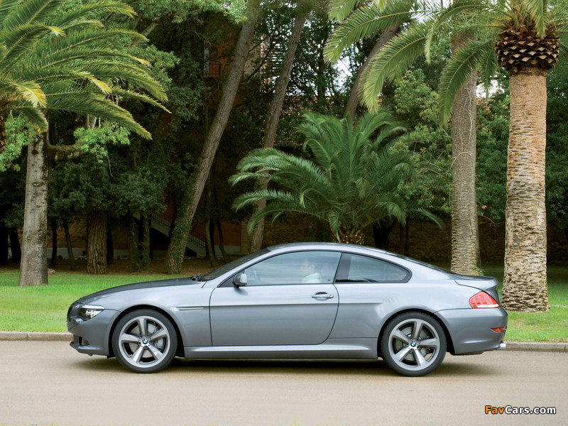 Pictures of BMW 635d Coupe (E63) 2008–11 (800 x 600)