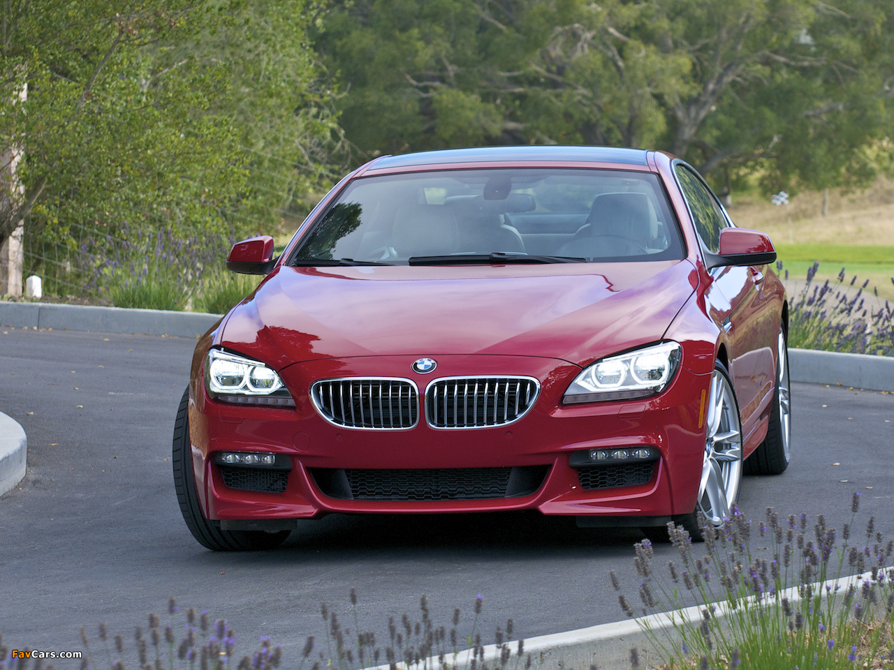 Pictures of BMW 650i Coupe M Sport Package US-spec (F13) 2011 (1280 x 960)