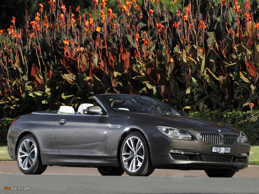 Pictures of BMW 650i Cabrio AU-spec (F12) 2011 (1024 x 768)