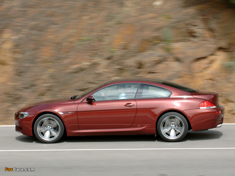 BMW M6 (E63) 2005–10 wallpapers (800 x 600)