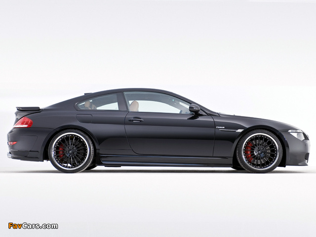 Hamann BMW 6 Series Coupe (E63) 2008–11 wallpapers (640 x 480)