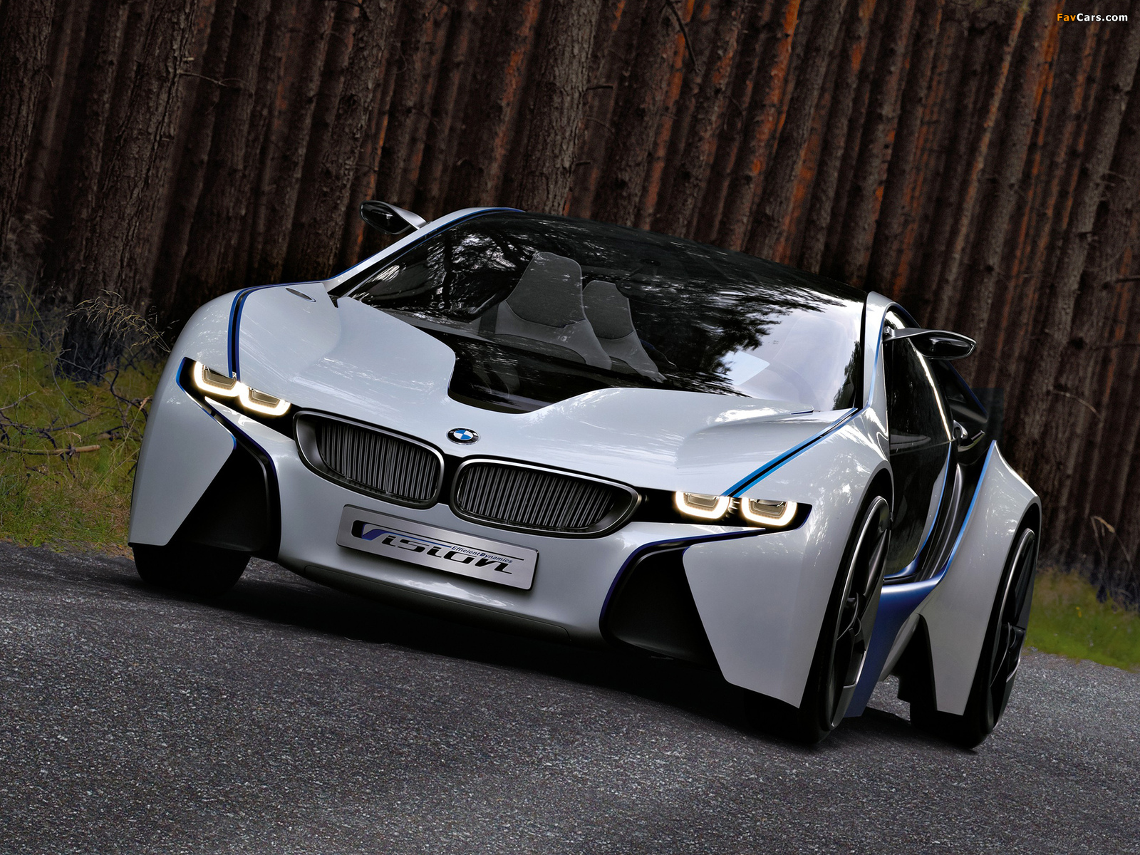 BMW Vision EfficientDynamics Concept 2009 pictures (1600 x 1200)