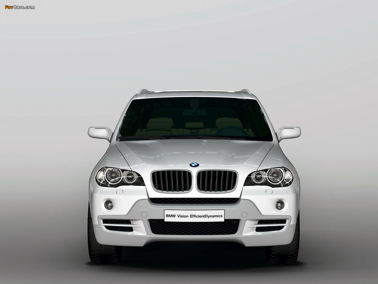 Images of BMW X5 EfficientDynamics Concept (E70) 2008 (1280 x 960)