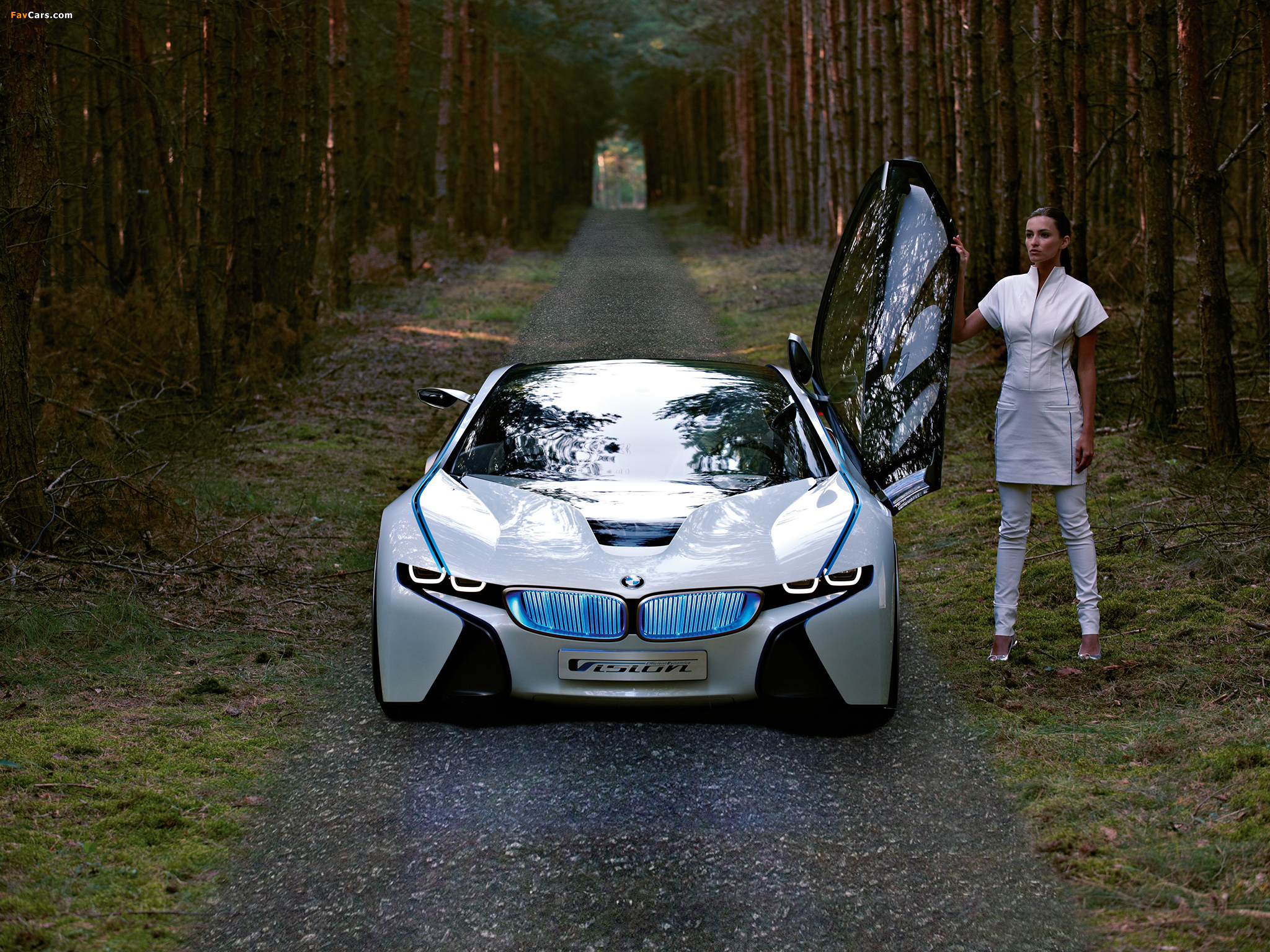 Images of BMW Vision EfficientDynamics Concept 2009 (2048 x 1536)